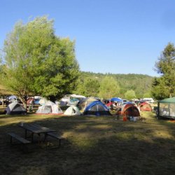 Jellystone RV Park and Camp Resort at Cobb Mountain - Cobb, CA - RV Parks