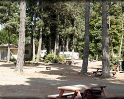 Fort Bragg Leisure Time Park - Fort Bragg, CA - RV Parks