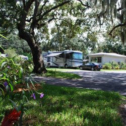 West Bay Oaks Mobile Home & Rv Park - Largo, FL - RV Parks
