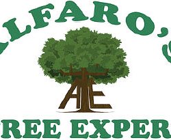 Alfaro's Tree Service - Germantown, MD - Home & Garden