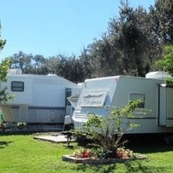 Richmar R V & Mobile Home Park - Largo, FL - RV Parks