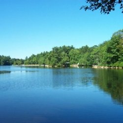 Bowdish Lake Camping Area - Chepachet, RI - RV Parks