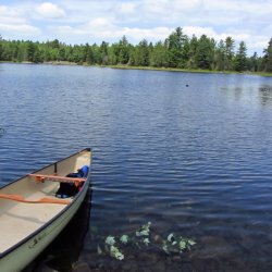 Balsam Lake Provincial Park - Kirkfield, ON - RV Parks - RVPoints.com