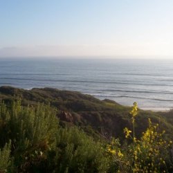 San Onofre State Beach - San Clemente, CA - RV Parks