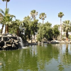 Sam's Family Spa - Desert Hot Springs, CA - RV Parks