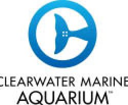 Clearwater Marine Aquarium - Clearwater, FL - Entertainment