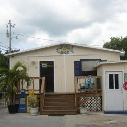 Calusa Campground Resort & Marina - Key Largo, FL - RV Parks