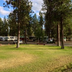 Peaceful Pines Campground - Cheney, WA - RV Parks