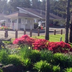 Whalers Rest RV & Camping Resort - South Beach, OR - Thousand Trails Resorts