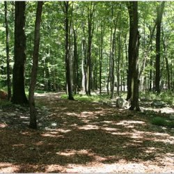 Tall Timbers Campground - Sussex, NJ - RV Parks