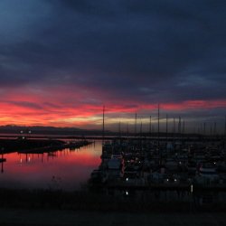 Port of Everett Marina - Everett, WA - RV Parks