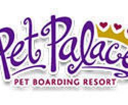 Pet Palace - Indianapolis, IN - Professional