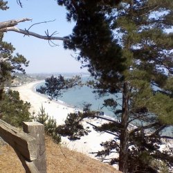 New Brighton State Beach - Capitola, CA - RV Parks