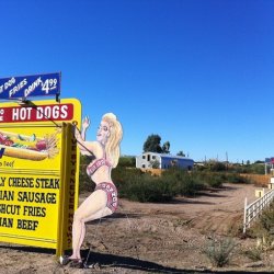 Dazzos Desert Store & Rv Prk - Wikieup, AZ - RV Parks