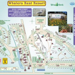 Whalers Rest RV & Camping Resort - South Beach, OR - Thousand Trails Resorts