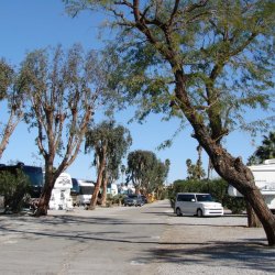Cathedral Palms RV Resort - Cathedral City, CA - RV Parks