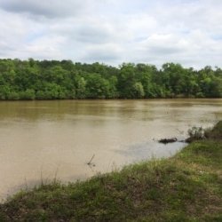 Omussee Creek Park - Columbia, AL   - County / City Parks