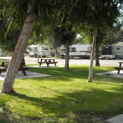 Bakersfield RV Travel Park - Bakersfield, CA - RV Parks