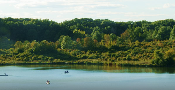 Camp Bullfrog Lake - Willow Springs, IL - County / City Parks