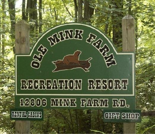 Ole Mink Farm Recreation Resort - Thurmont, MD - RV Parks