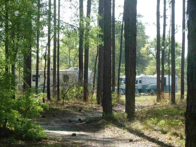 Tanager Woods RV Campground - Dorchester, SC - RV Parks