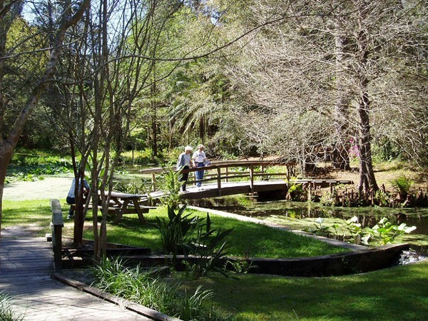 Ravine Gardens State Park - Palatka, FL - Florida State Parks