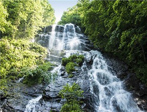 Amicalola Falls State Park - Dawsonville, GA - Georgia State Parks