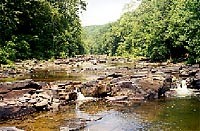 Tohickon Valley Park - Point Pleasant, PA - County / City Parks