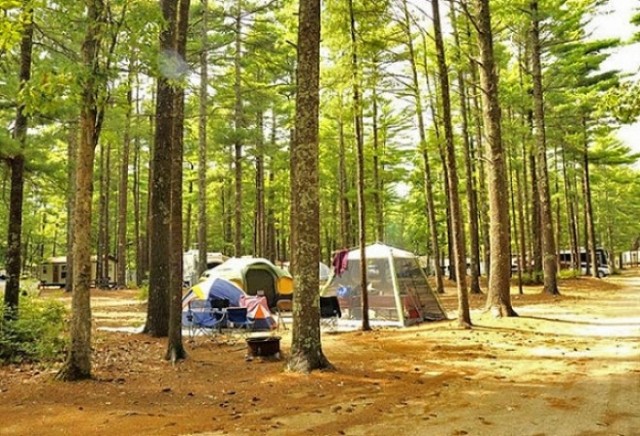 Gateway to Cape Cod RV Campground - Rochester, MA - Thousand Trails Resorts