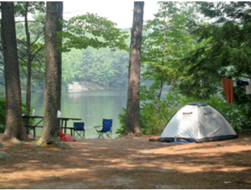 Pawtuckaway State Park Campground - Nottingham, NH - New Hampshire State Parks