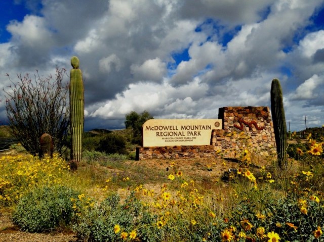 McDowell Mountain Regional Park - Scottsdale, AZ - County / City Parks