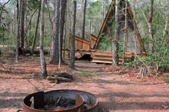 Lake Houston Wilderness Park - New Caney, TX - County / City Parks