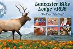 Lancaster Elks Lodge #1625 - Lancaster, CA - RV Parks