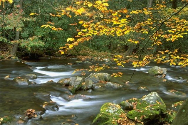Moccasin Creek State Park - Clarksville, GA - Georgia State Parks