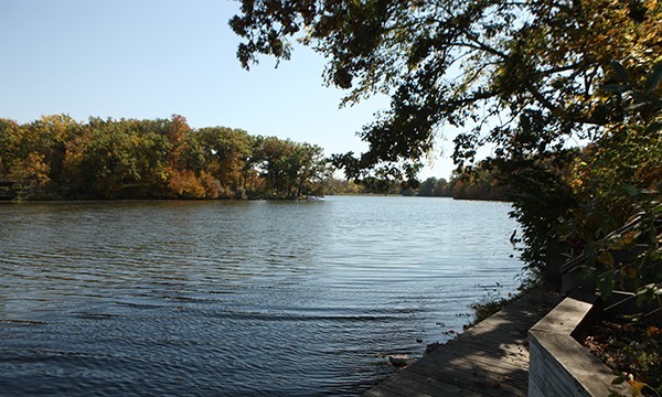 Weldon Springs State Park - Clinton, IL - Illinois State Parks