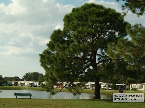Whispering Pines - Largo - Largo, FL - RV Parks