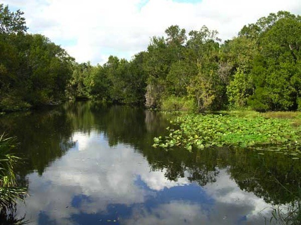 Little Manatee River State Park - Wimauma, FL - Florida State Parks