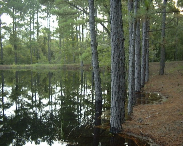 Lazy Acres Campground - Fayetteville, NC - RV Parks