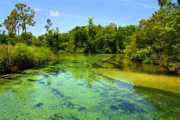 Weeki Wachee Springs State Park - Spring Hill, FL - Florida State Parks