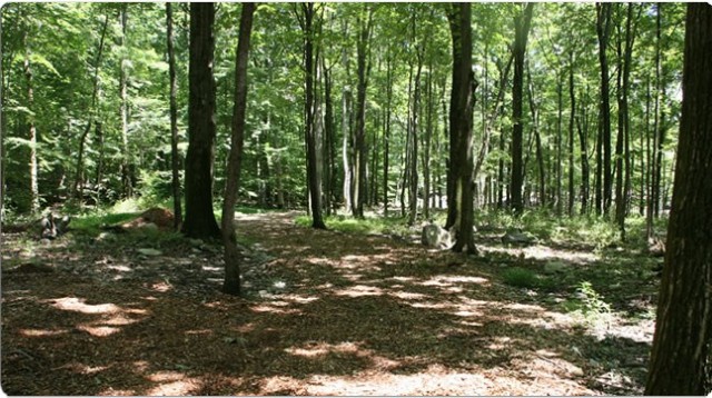 Tall Timbers Campground - Sussex, NJ - RV Parks
