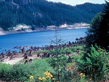 Iron Horse State Park - Easton, WA - Washington State Parks