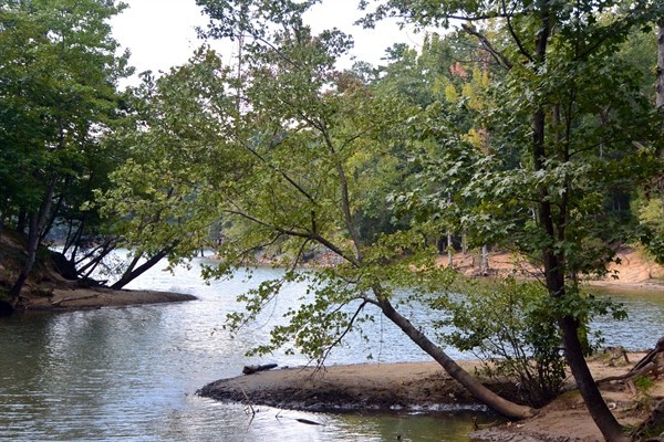 Mc Dowell Nature Preserve - Charlotte, NC - County / City Parks