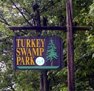 Turkey Swamp Park Campground - Freehold, NJ - County / City Parks