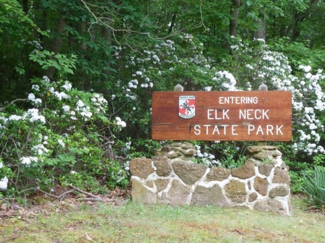 Elk Neck State Park - North East, MD - Maryland State Parks