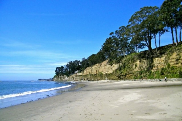 New Brighton State Beach - Capitola, CA - RV Parks