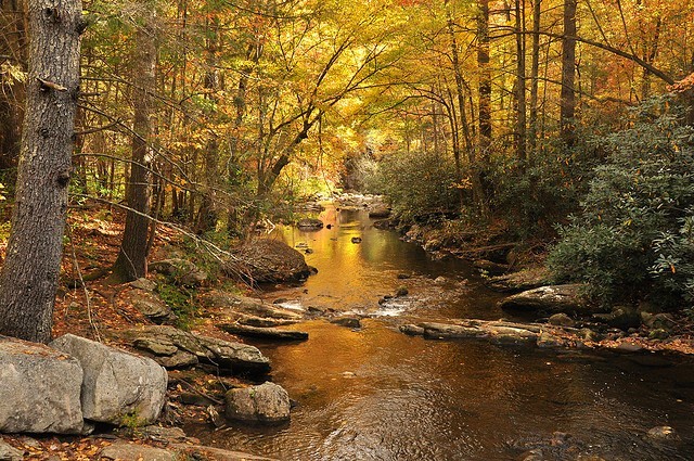 South Mountains State Park - Connelly Springs, NC - North Carolina State Parks