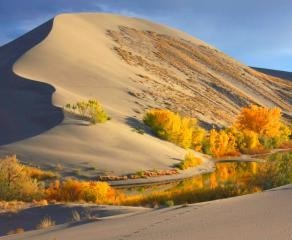 Bruneau Dunes State Park - Mountain Home, ID - Idaho State Parks