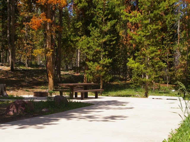 Balsam Campground Wasatch-Cache National Forest - springville, UT - National Parks