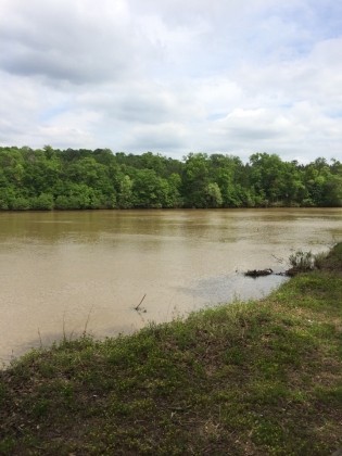 Omussee Creek Park - Columbia, AL   - County / City Parks