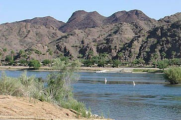 River Island State Park - Parker, AZ - Arizona State Parks